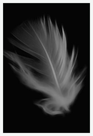 Down Feather